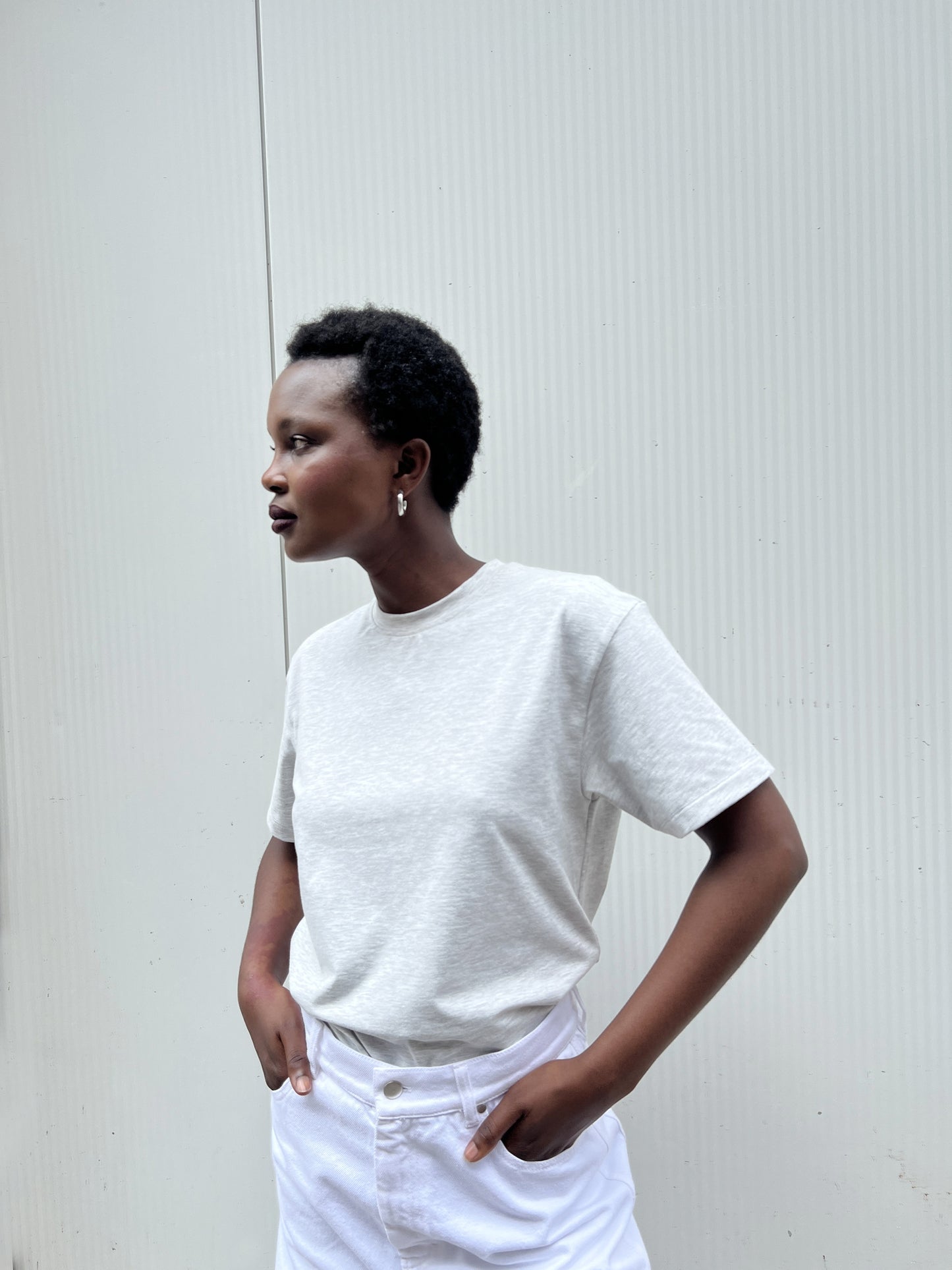 TED t-shirt | ASH GREY