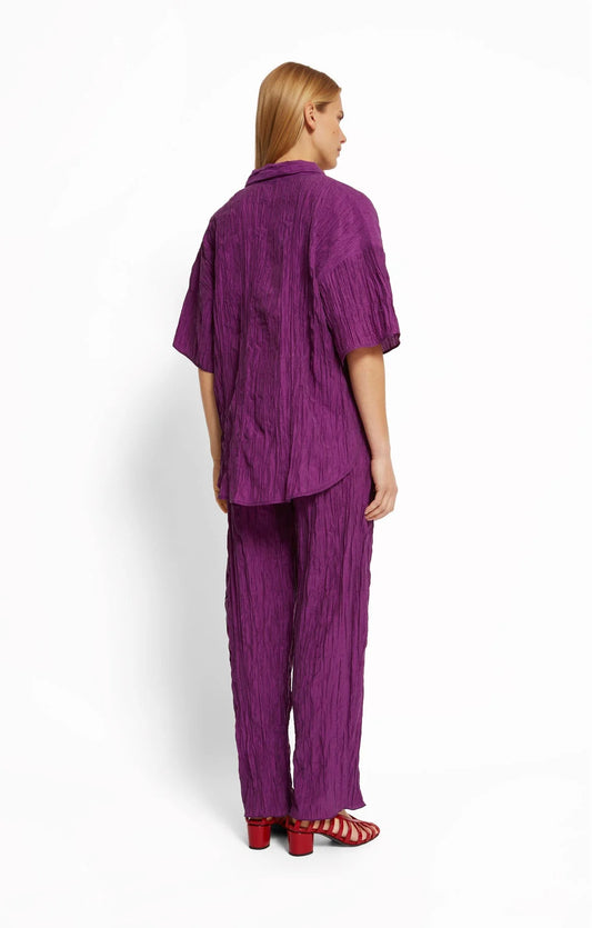PURPLE / 34