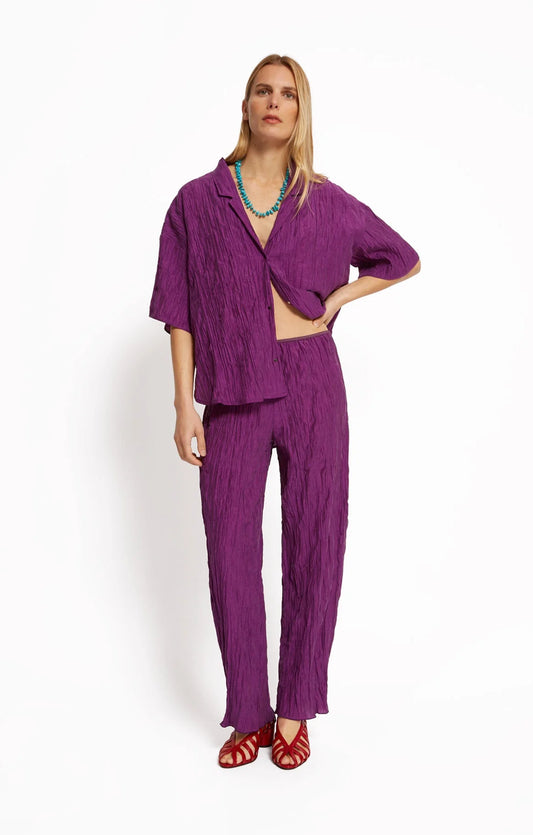PURPLE / 34