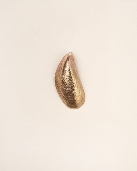 SINGLE MUSSEL STUD EARRING | COPPER